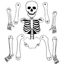 Malvorlage: Skelett (Charaktere) #147465 - Kostenlose Malvorlagen zum Ausdrucken