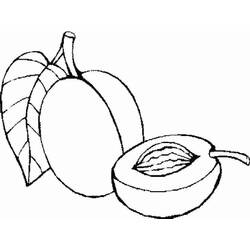 Malvorlage: Aprikose (Essen und Ernährung) #184240 - Kostenlose Malvorlagen zum Ausdrucken