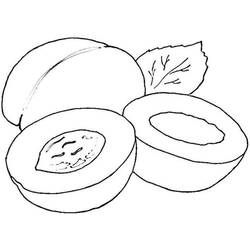 Malvorlage: Aprikose (Essen und Ernährung) #184247 - Kostenlose Malvorlagen zum Ausdrucken