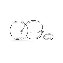 Malvorlage: Aprikose (Essen und Ernährung) #184251 - Kostenlose Malvorlagen zum Ausdrucken