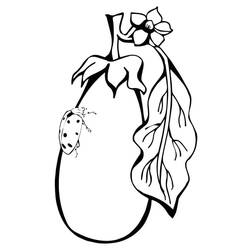 Malvorlage: Aubergine (Essen und Ernährung) #207486 - Kostenlose Malvorlagen zum Ausdrucken