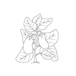 Malvorlage: Aubergine (Essen und Ernährung) #207493 - Kostenlose Malvorlagen zum Ausdrucken