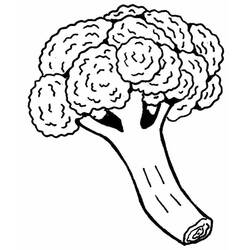 Malvorlage: Brokkoli (Essen und Ernährung) #203731 - Kostenlose Malvorlagen zum Ausdrucken