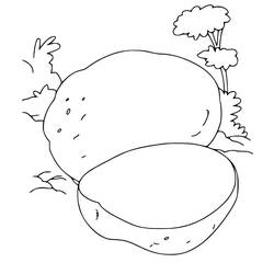 Malvorlage: Kartoffel (Essen und Ernährung) #207413 - Kostenlose Malvorlagen zum Ausdrucken