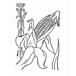 Malvorlage: Mais (Essen und Ernährung) #207452 - Kostenlose Malvorlagen zum Ausdrucken