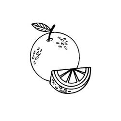 Malvorlage: Orange (Essen und Ernährung) #208632 - Kostenlose Malvorlagen zum Ausdrucken