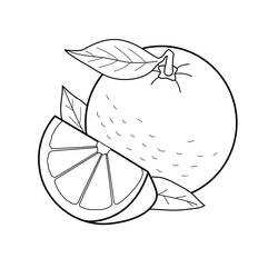 Zeichnungen zum Ausmalen: Orange - Kostenlose Malvorlagen zum Ausdrucken