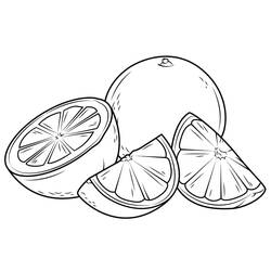 Malvorlage: Orange (Essen und Ernährung) #208646 - Kostenlose Malvorlagen zum Ausdrucken