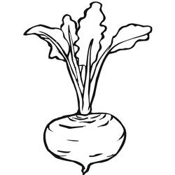 Malvorlage: Rote Bete (Essen und Ernährung) #213789 - Kostenlose Malvorlagen zum Ausdrucken