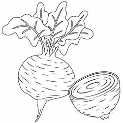 Malvorlage: Rote Bete (Essen und Ernährung) #213792 - Kostenlose Malvorlagen zum Ausdrucken