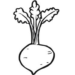 Malvorlage: Rote Bete (Essen und Ernährung) #213799 - Kostenlose Malvorlagen zum Ausdrucken