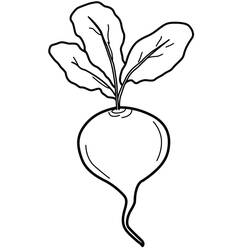 Malvorlage: Rote Bete (Essen und Ernährung) #213801 - Kostenlose Malvorlagen zum Ausdrucken