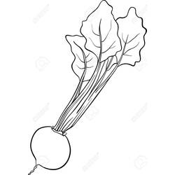 Malvorlage: Rote Bete (Essen und Ernährung) #213810 - Kostenlose Malvorlagen zum Ausdrucken