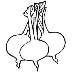 Malvorlage: Rote Bete (Essen und Ernährung) #213811 - Kostenlose Malvorlagen zum Ausdrucken