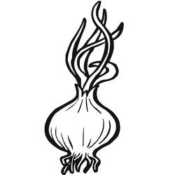 Malvorlage: Zwiebel (Essen und Ernährung) #186589 - Kostenlose Malvorlagen zum Ausdrucken