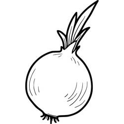 Malvorlage: Zwiebel (Essen und Ernährung) #186593 - Kostenlose Malvorlagen zum Ausdrucken