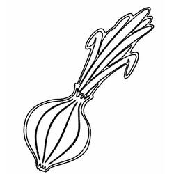 Malvorlage: Zwiebel (Essen und Ernährung) #186595 - Kostenlose Malvorlagen zum Ausdrucken