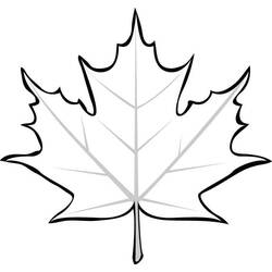 Malvorlage: Ahornblatt (Natur und Jahreszeiten) #190247 - Kostenlose Malvorlagen zum Ausdrucken