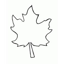 Malvorlage: Ahornblatt (Natur und Jahreszeiten) #190251 - Kostenlose Malvorlagen zum Ausdrucken