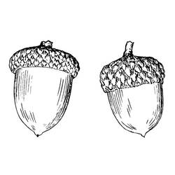 Malvorlage: Eichel (Natur und Jahreszeiten) #218500 - Kostenlose Malvorlagen zum Ausdrucken