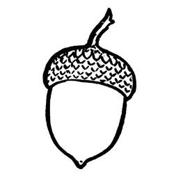 Malvorlage: Eichel (Natur und Jahreszeiten) #218510 - Kostenlose Malvorlagen zum Ausdrucken