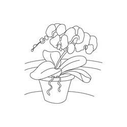 Malvorlage: Orchidee (Natur und Jahreszeiten) #176364 - Kostenlose Malvorlagen zum Ausdrucken