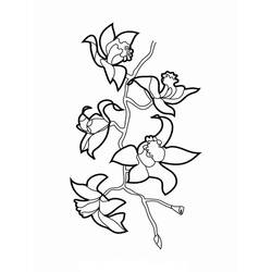 Malvorlage: Orchidee (Natur und Jahreszeiten) #176375 - Kostenlose Malvorlagen zum Ausdrucken