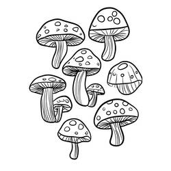 Malvorlage: Pilz (Natur und Jahreszeiten) #217416 - Kostenlose Malvorlagen zum Ausdrucken