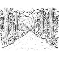 Zeichnungen zum Ausmalen: Wald - Kostenlose Malvorlagen zum Ausdrucken