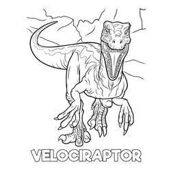 Malvorlage: Velociraptor (Prähistorische Tiere) #214492 - Kostenlose Malvorlagen zum Ausdrucken