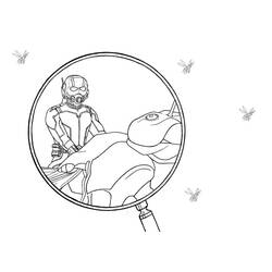 Malvorlage: Ant-Man (Superhelden und Superschurken) #206494 - Kostenlose Malvorlagen zum Ausdrucken