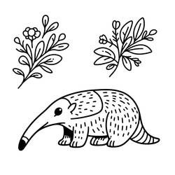 Malvorlage: Ameisenbär (Tiere) #219637 - Kostenlose Malvorlagen zum Ausdrucken