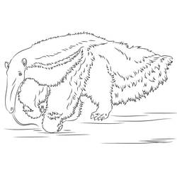 Malvorlage: Ameisenbär (Tiere) #219662 - Kostenlose Malvorlagen zum Ausdrucken