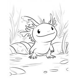 Malvorlage: Axolotl (Tiere) #220224 - Kostenlose Malvorlagen zum Ausdrucken