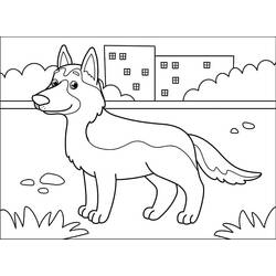 Malvorlage: Deutscher Schäferhund (Tiere) #214071 - Kostenlose Malvorlagen zum Ausdrucken