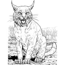 Malvorlage: Luchs (Tiere) #10798 - Kostenlose Malvorlagen zum Ausdrucken