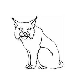 Malvorlage: Luchs (Tiere) #10807 - Kostenlose Malvorlagen zum Ausdrucken
