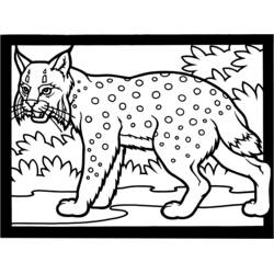 Malvorlage: Luchs (Tiere) #10810 - Kostenlose Malvorlagen zum Ausdrucken