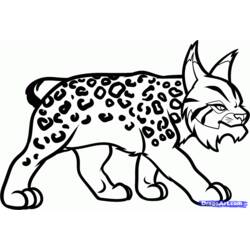 Malvorlage: Luchs (Tiere) #10840 - Kostenlose Malvorlagen zum Ausdrucken