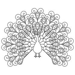 Malvorlage: Pfau (Tiere) #197580 - Kostenlose Malvorlagen zum Ausdrucken