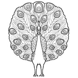 Malvorlage: Pfau (Tiere) #197584 - Kostenlose Malvorlagen zum Ausdrucken