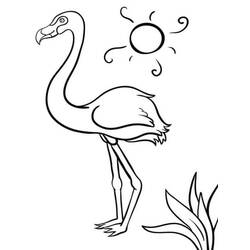 Malvorlage: Rosa Flamingo (Tiere) #198745 - Kostenlose Malvorlagen zum Ausdrucken