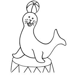 Malvorlage: Seelöwe (Tiere) #192527 - Kostenlose Malvorlagen zum Ausdrucken