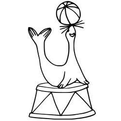 Malvorlage: Seelöwe (Tiere) #192530 - Kostenlose Malvorlagen zum Ausdrucken