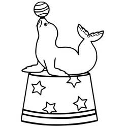 Malvorlage: Seelöwe (Tiere) #192534 - Kostenlose Malvorlagen zum Ausdrucken