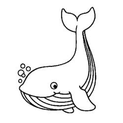 Zeichnungen zum Ausmalen: Wal - Kostenlose Malvorlagen zum Ausdrucken