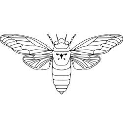 Malvorlage: Zikade (Tiere) #187676 - Kostenlose Malvorlagen zum Ausdrucken