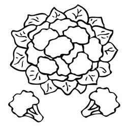 Blumenkohl - Kostenlose Ausmalbilder zum Ausdrucken