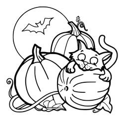 Malvorlage Halloween Katze lugt aus einem Kürbis