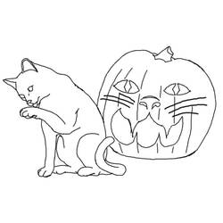 Malvorlage Halloween Katze mit geschnitztem Kürbis